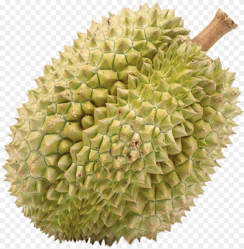 Durian With No Background Fruit That Looks Like Dragon Egg, Food, Plant, Produce, Pineapple Png