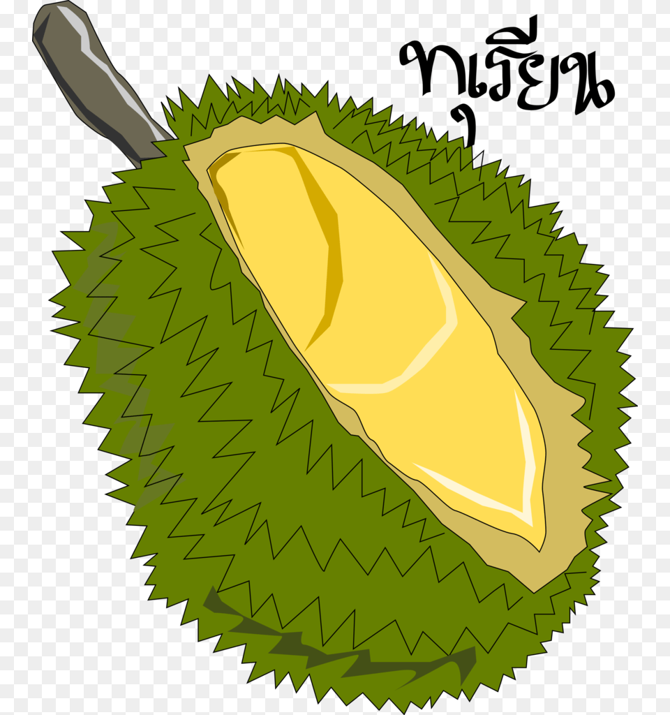 Durianthai Fruit Clipart, Durian, Food, Produce, Plant Free Png Download