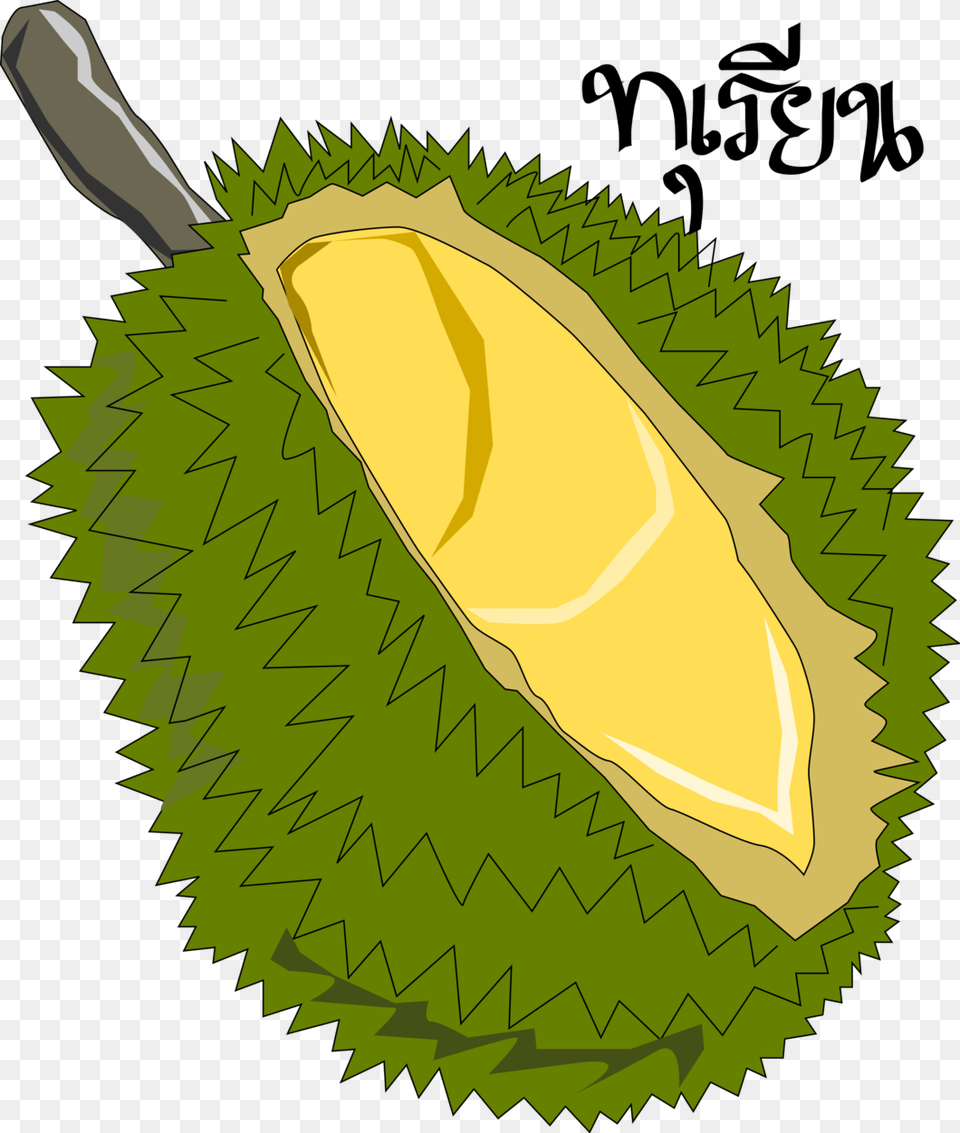 Durianthai Fruit File Clipart Durian, Food, Produce, Plant, Animal Png