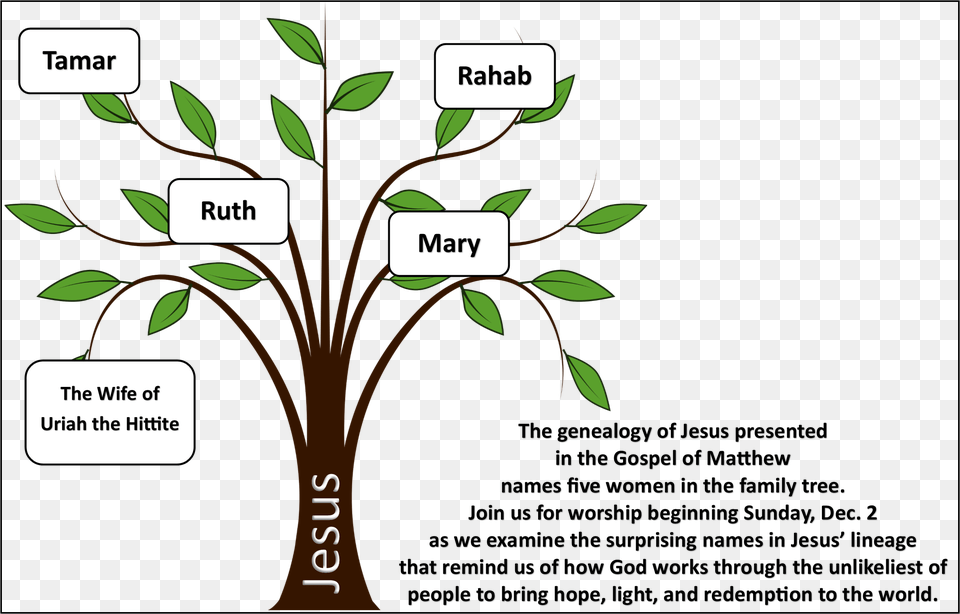 During Advent And Christmas Remembering This Strange Simple Family Tree Drawing, Art, Graphics, Plant, Vegetation Free Transparent Png