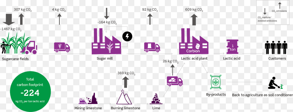 During The Growing Of The Sugar Cane Co2 Is Absorbed, Diagram Png Image