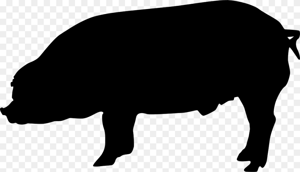 Duroc Pig Silhouette, Gray Png Image