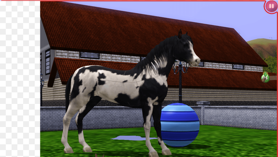 Dusk Stallion, Andalusian Horse, Animal, Colt Horse, Horse Png Image
