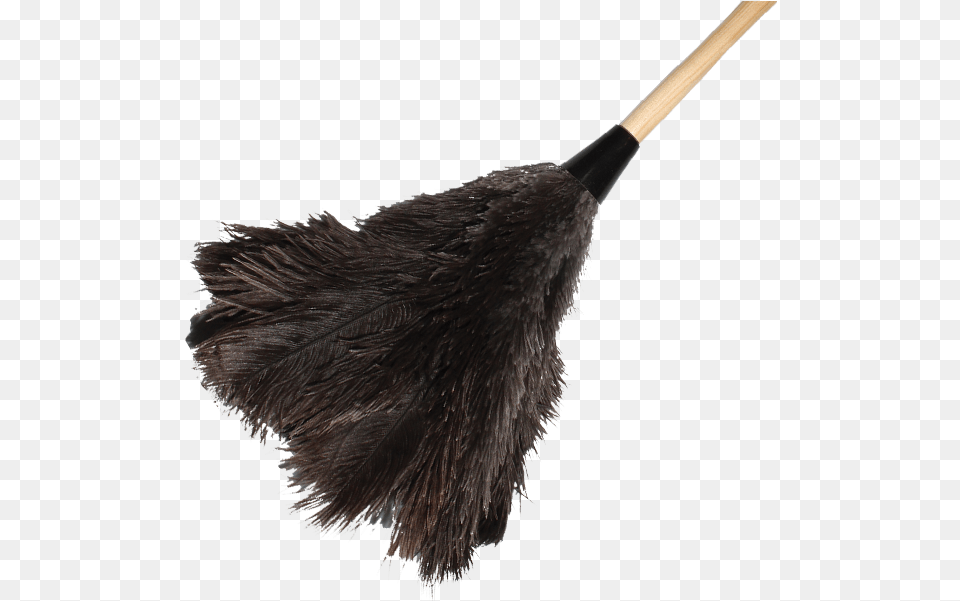 Duster Cleaning Cleaning Duster Icon, Broom, Animal, Bird Png