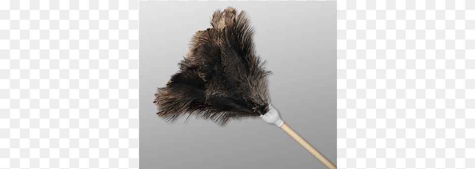 Duster Feather Ostrich Feather Duster, Broom, Animal, Bird Free Png Download