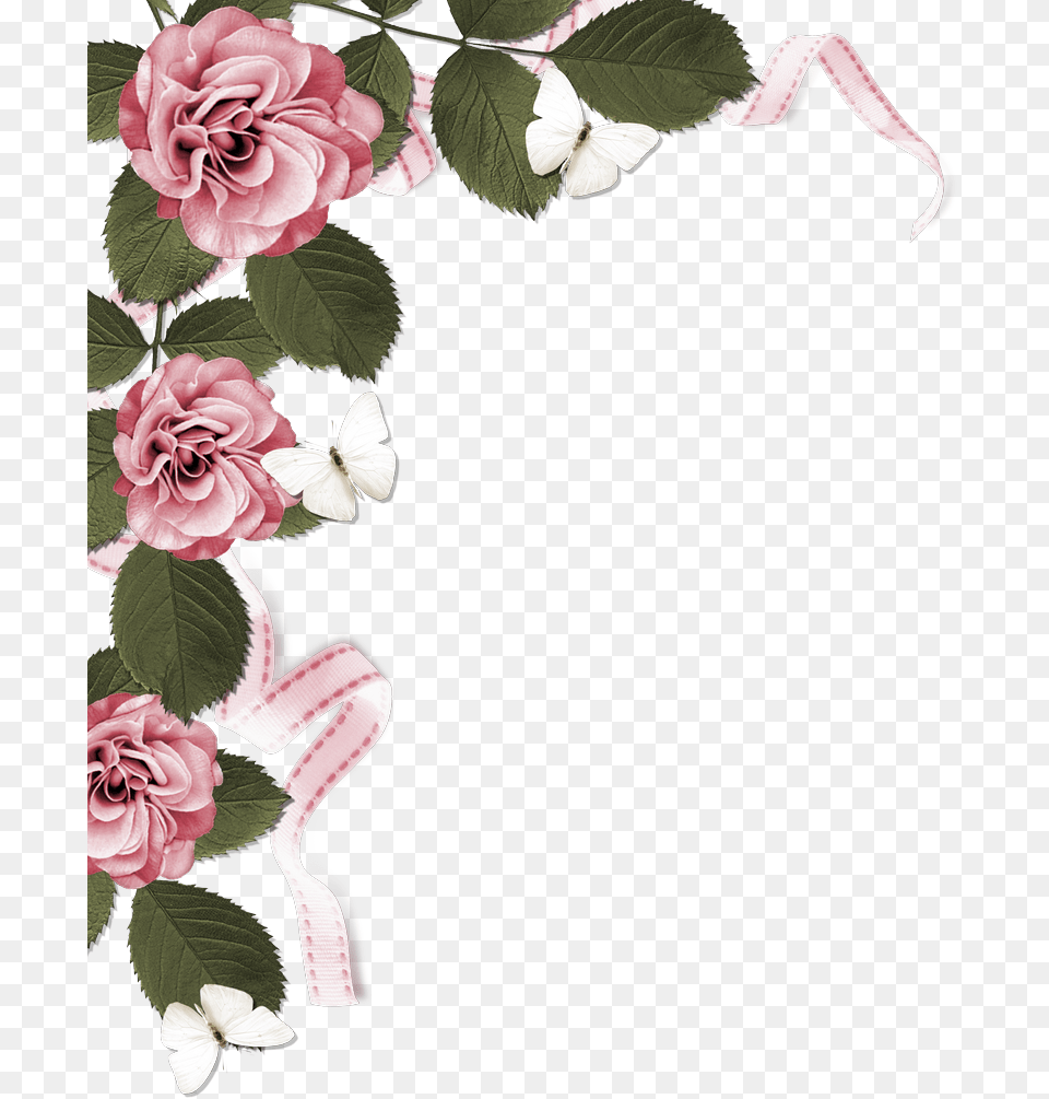 Dusty Pink Flower Borders, Rose, Plant, Flower Arrangement, Petal Free Png