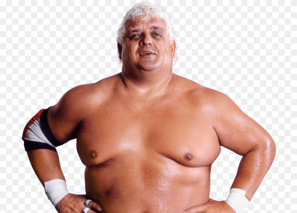 Dusty Rhodes Pro Wwe Dusty Rhodes, Adult, Person, Body Part, Man Free Transparent Png