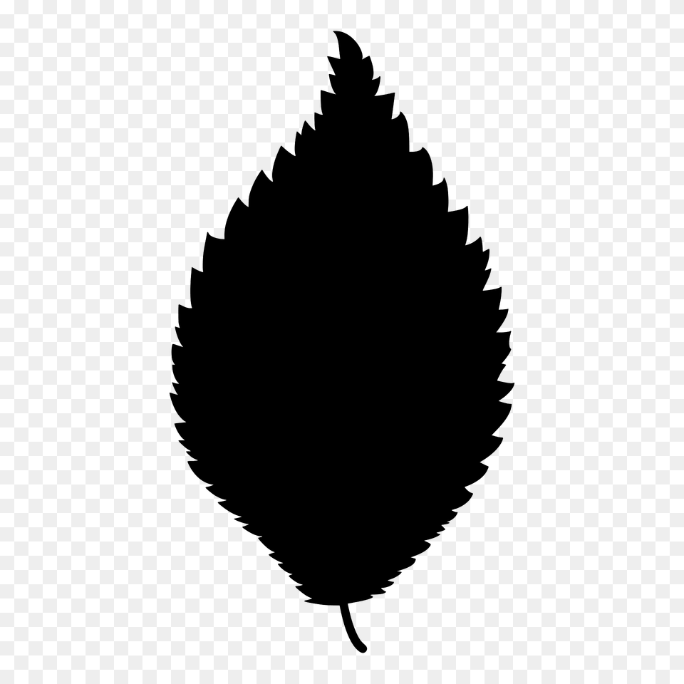 Dutch Elm Leaf Silhouette, Plant, Animal, Bird, Tree Png Image