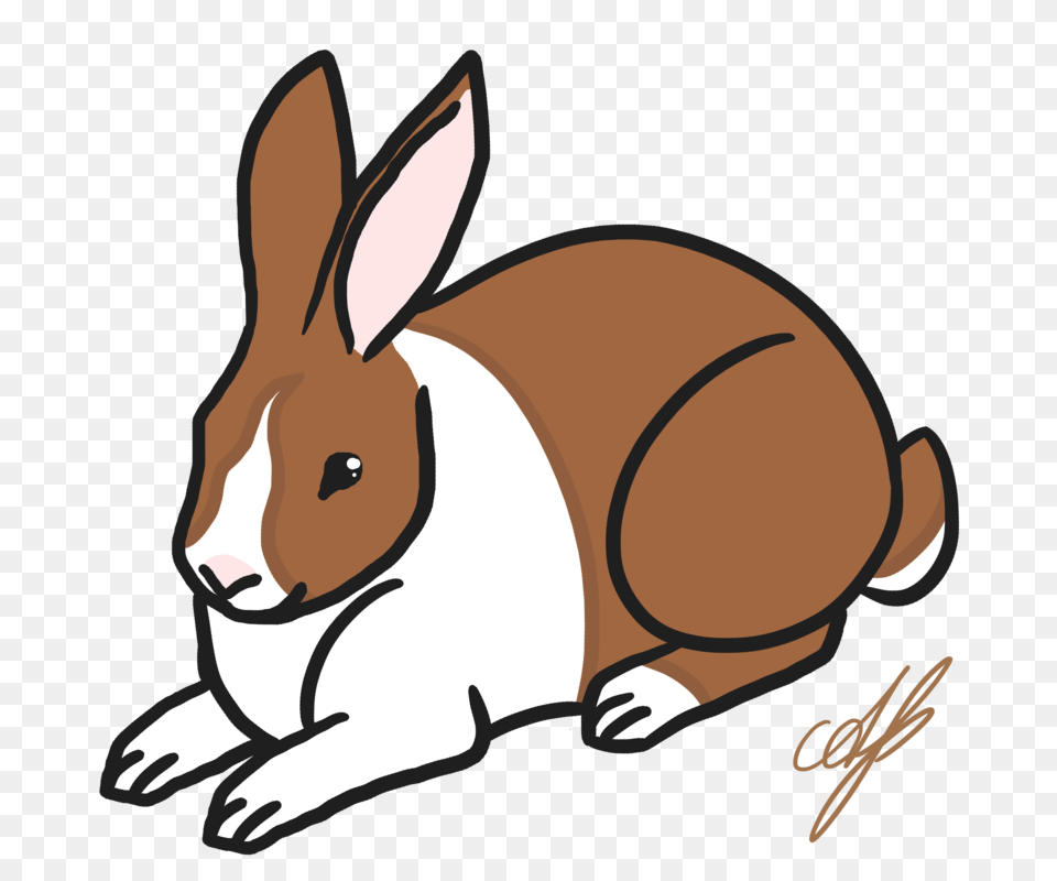 Dutch Rabbit, Animal, Mammal, Fish, Sea Life Free Transparent Png