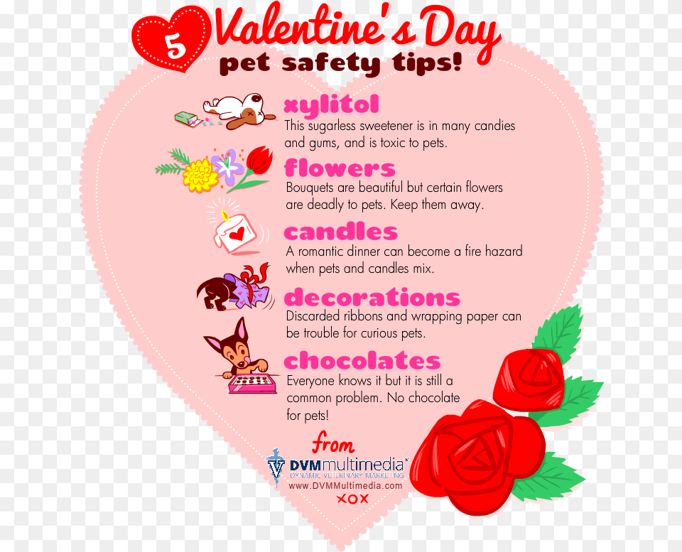 Dvm Valentine Valentines Pet Safety Tips, Advertisement, Poster, Text, Disk Free Png