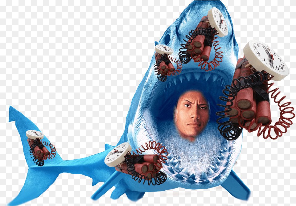 Dwayne The Shark Johnson, Adult, Person, Woman, Female Png Image