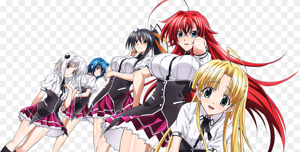 Dxd Ocr Girls Bckground Render High School Dxd Girl, Adult, Publication, Person, Female Free Png Download
