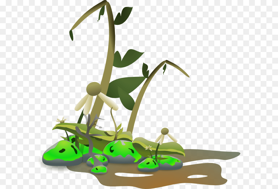 Dying Clipart, Green, Plant, Vegetation Png
