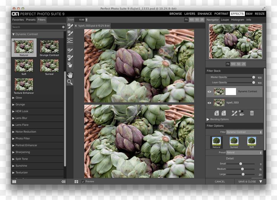 Dynamic Contrast Natural, Food, Produce, Artichoke, Plant Png