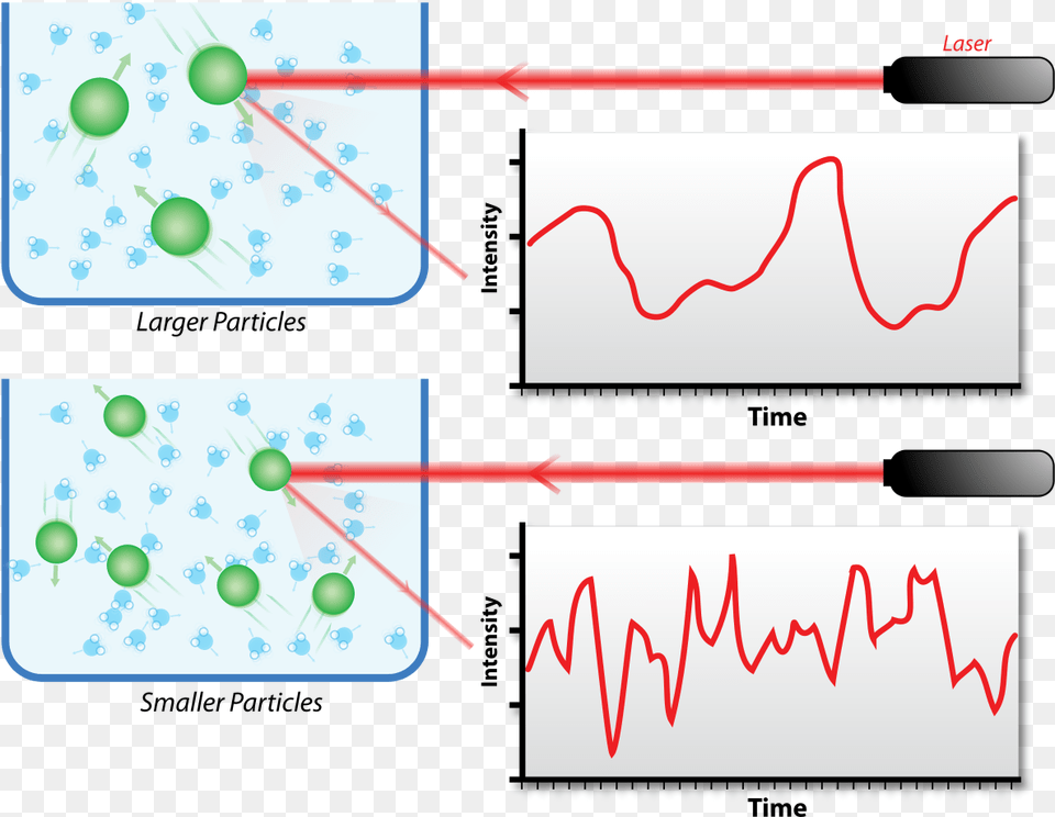 Dynamic Light Scattering, Text Free Transparent Png