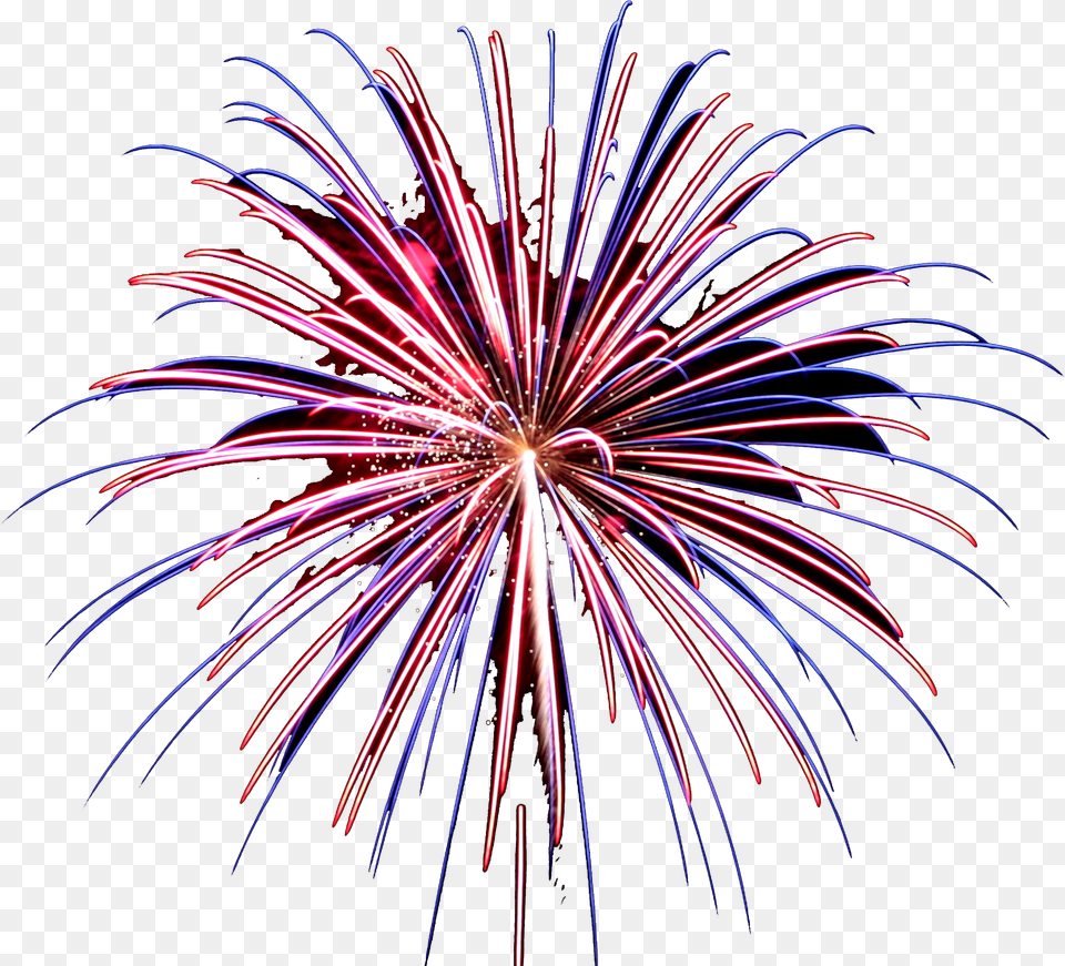 Dynamite Fireworks Serving North Texas Since 1975 Portable Network Graphics, Plant Free Png