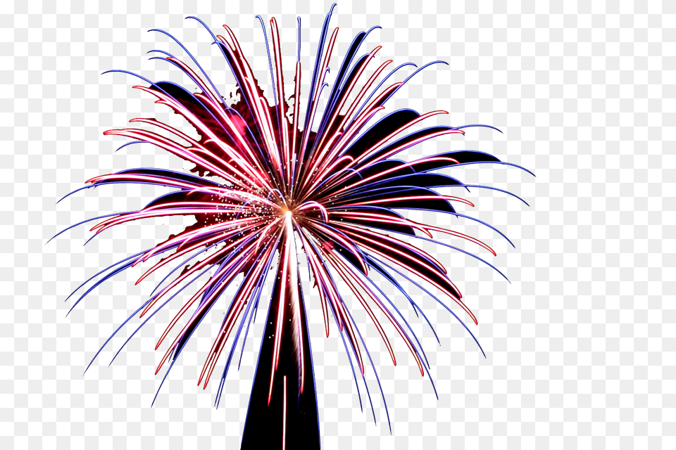 Dynamite Fireworks Serving North Texas Since, Plant Free Transparent Png