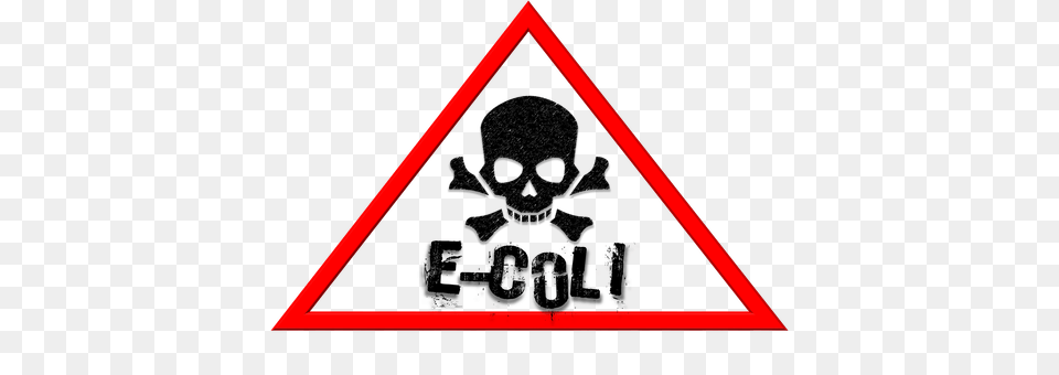 E Coli Hazard Triangle, Symbol, Sign Png Image