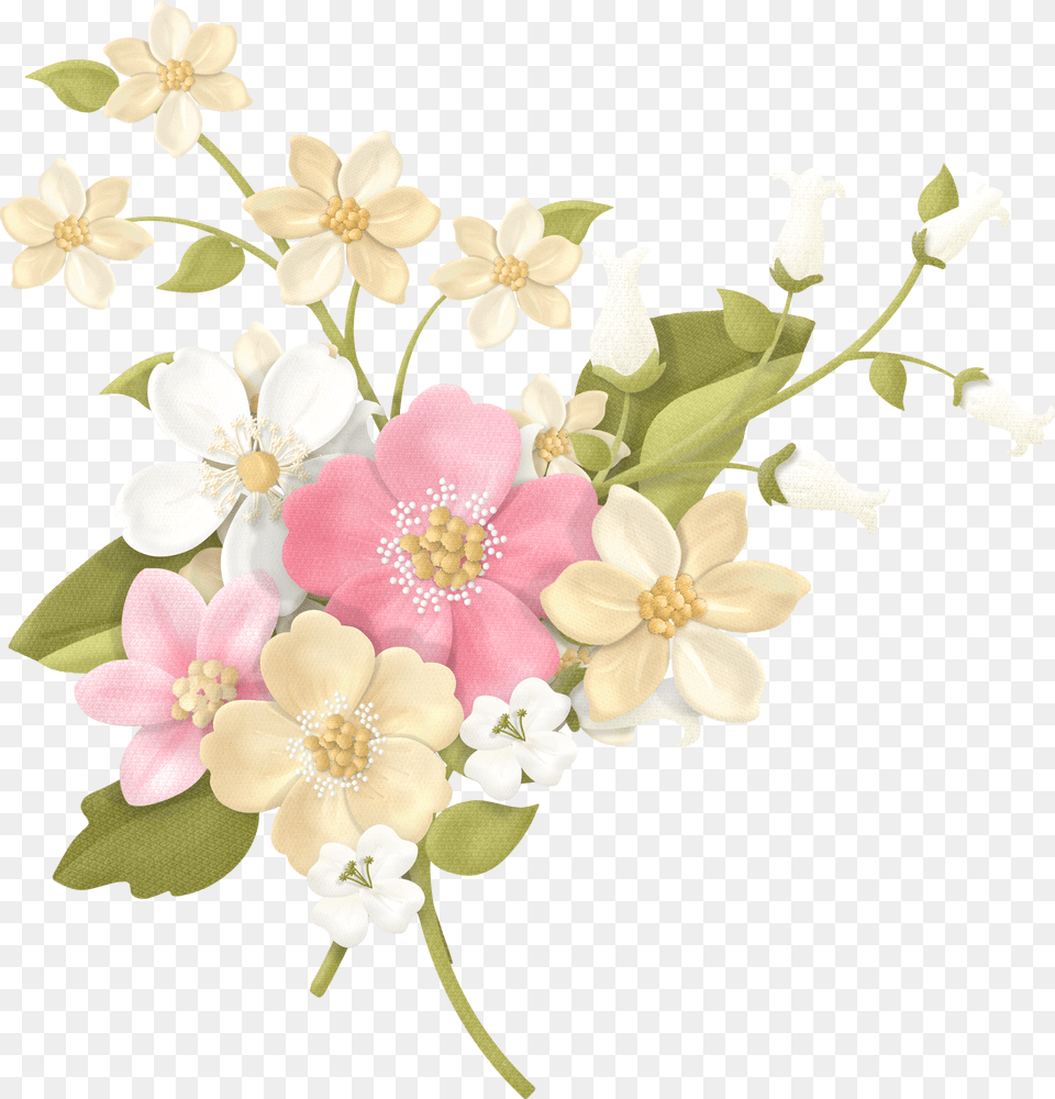 E Flores, Anemone, Art, Floral Design, Flower Png Image