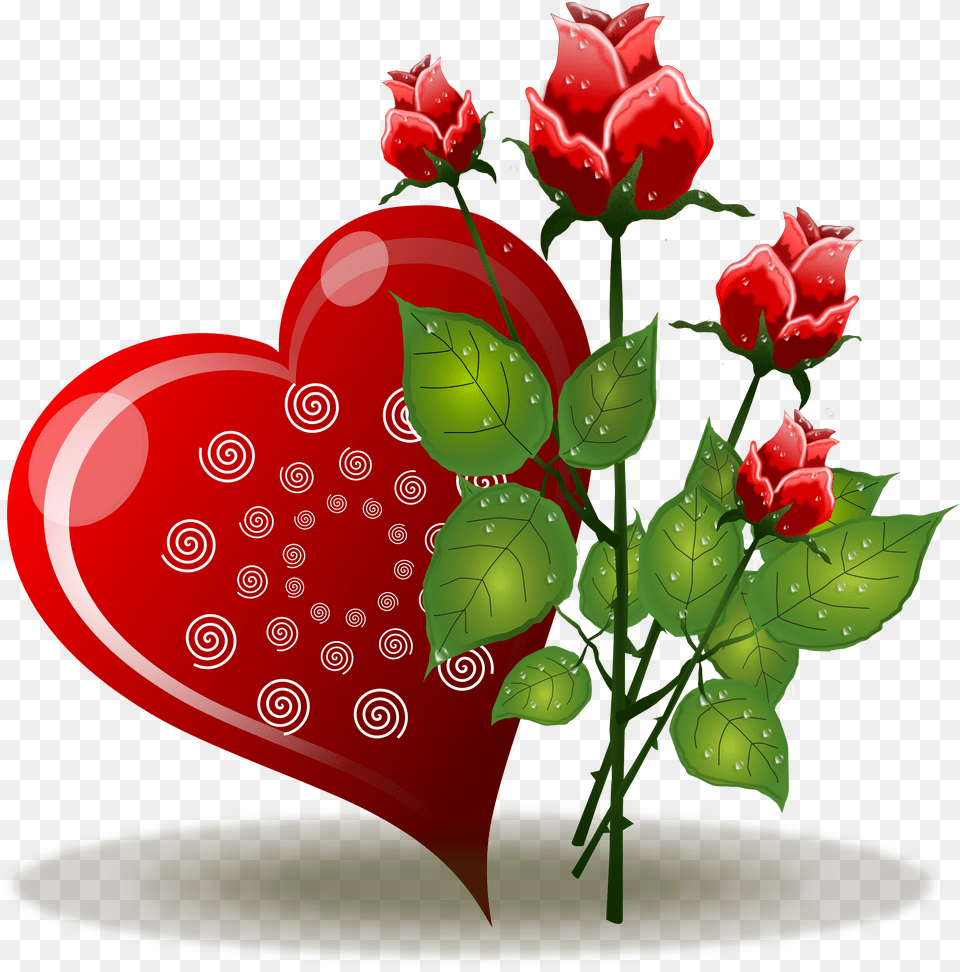 E Rosas, Flower, Plant, Rose, Heart Png