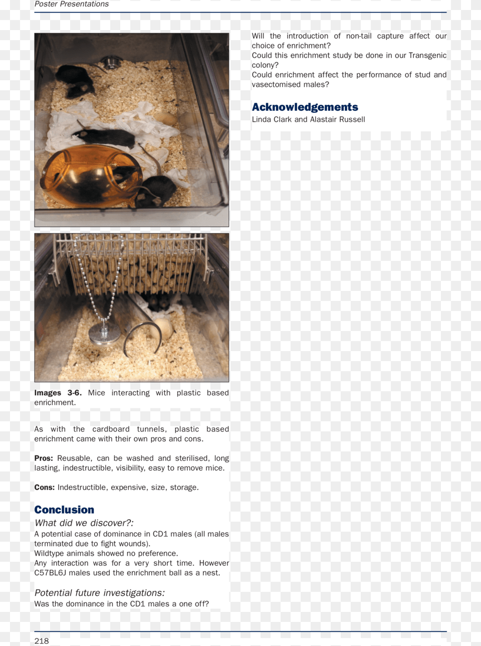 E S Animal Technology And Welfare 3 12 19 14, Bread, Food Free Transparent Png