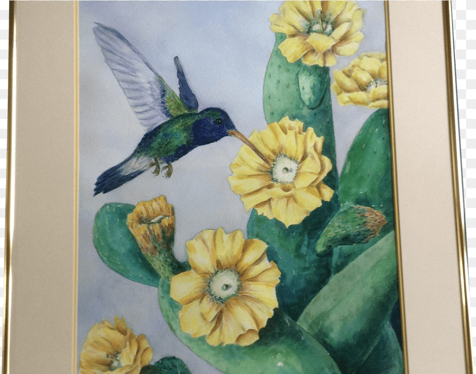 E S Jenkins Hummingbird Drinking From A Yellow Cactus Watercolor Painting, Art, Animal, Bird, Modern Art Png