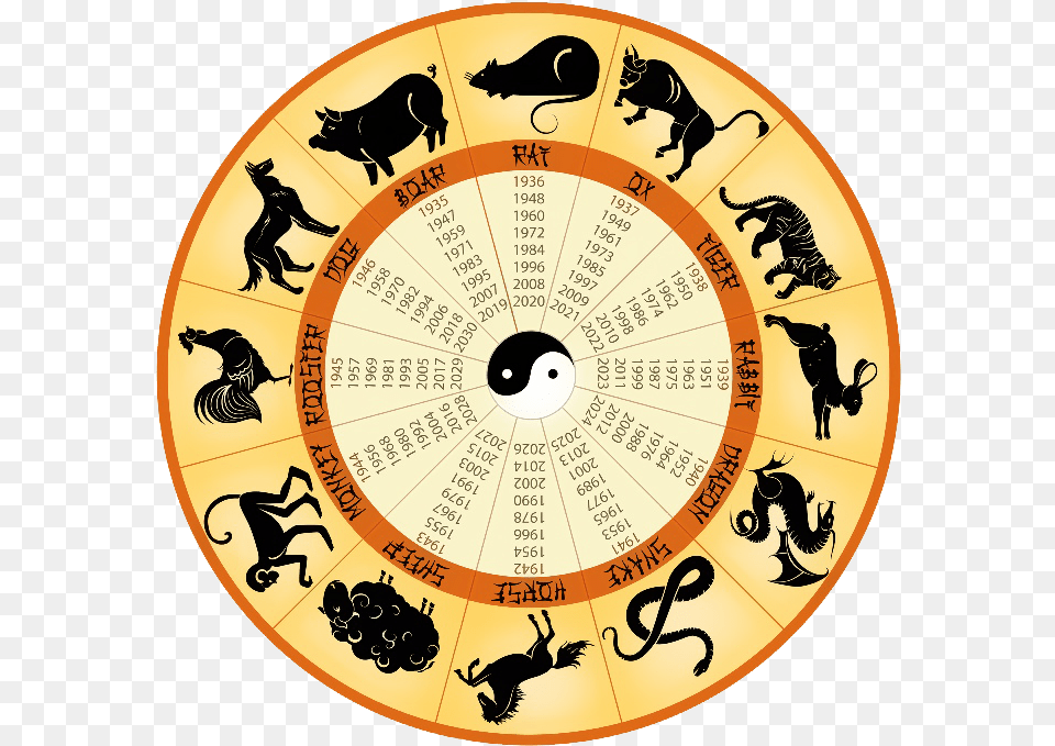Each Chinese New Year Is Calculated By The First Full Calendar, Person, Animal, Dinosaur, Reptile Png