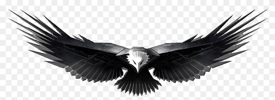 Eagle, Animal, Bird, Vulture, Condor Png