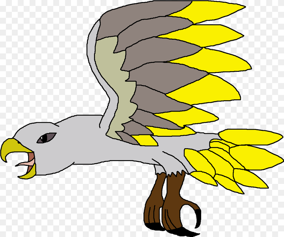 Eagle, Animal, Bird, Flying, Seagull Png Image