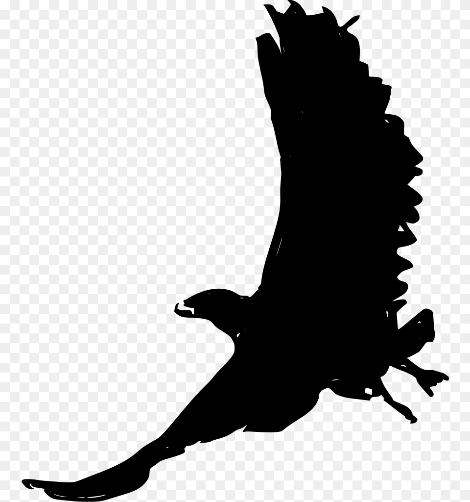 Eagle, Gray Free Png Download