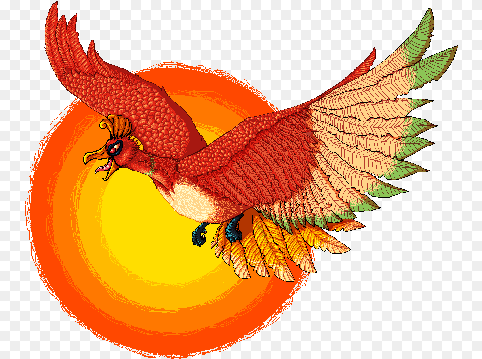 Eagle, Animal, Bird Png Image