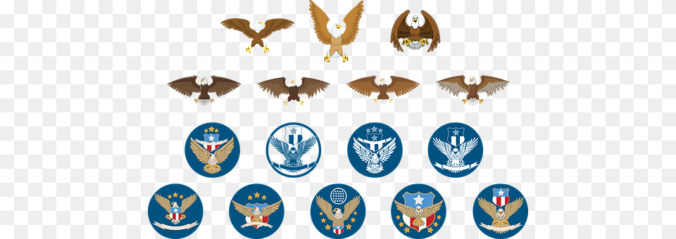 Eagle Badge, Logo, Symbol, Emblem Png