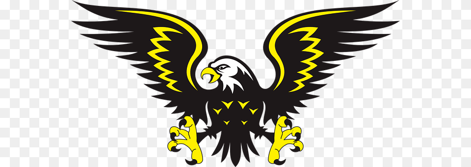 Eagle Animal, Bird, Person Png