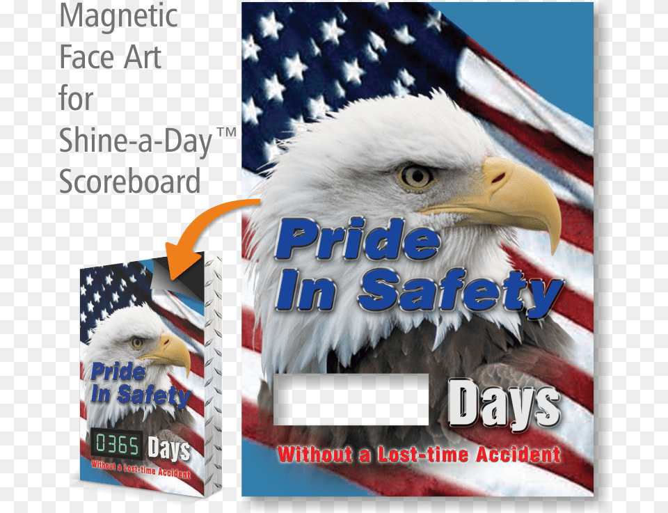 Eagle, Animal, Bird, American Flag, Flag Free Png