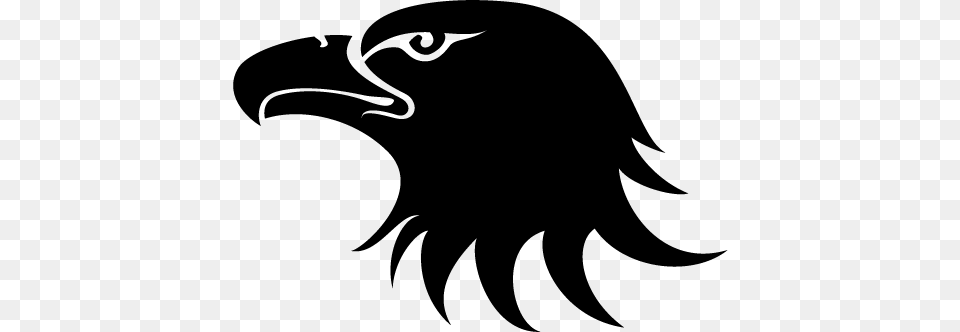 Eagle, Gray Free Png