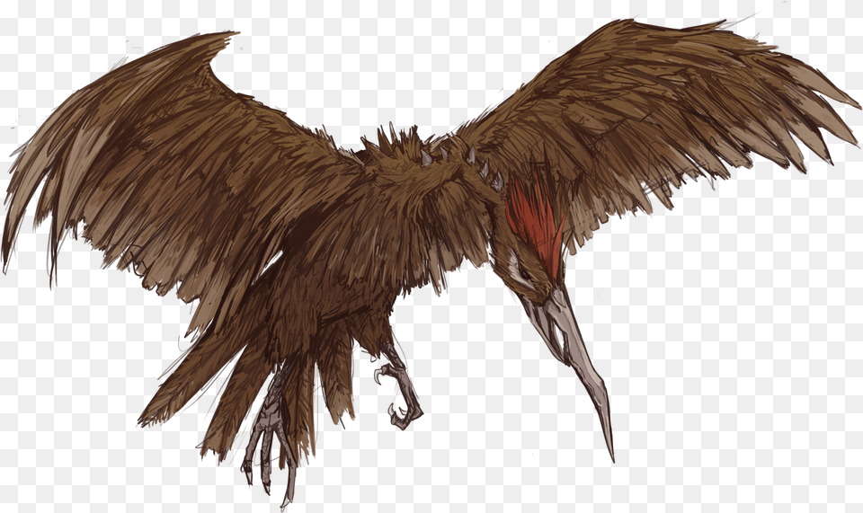 Eagle, Animal, Bird, Vulture, Flying Png