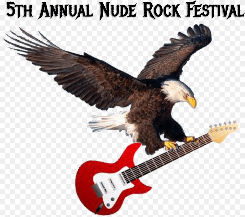 Eagle, Guitar, Musical Instrument, Animal, Bird Free Png