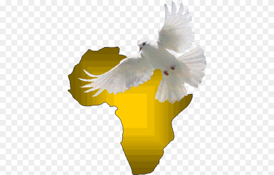 Eagle, Animal, Bird, Person, Pigeon Free Transparent Png