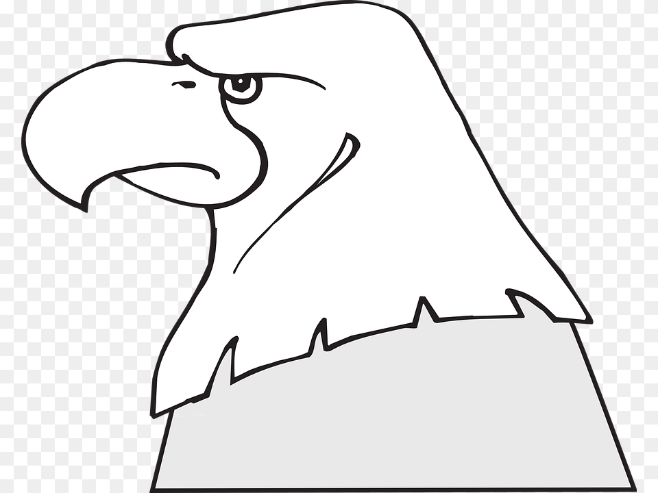 Eagle, Animal, Beak, Bird, Adult Free Transparent Png
