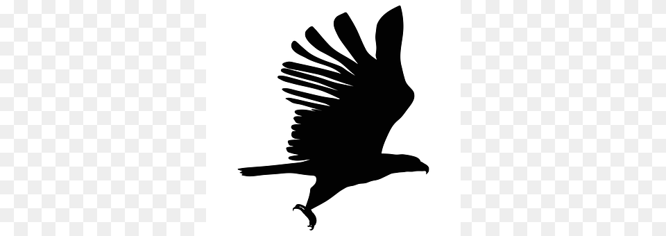 Eagle Silhouette, Animal, Bird, Flying Free Png Download