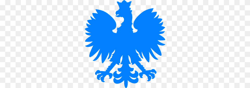 Eagle Emblem, Symbol, Person, Face Png Image