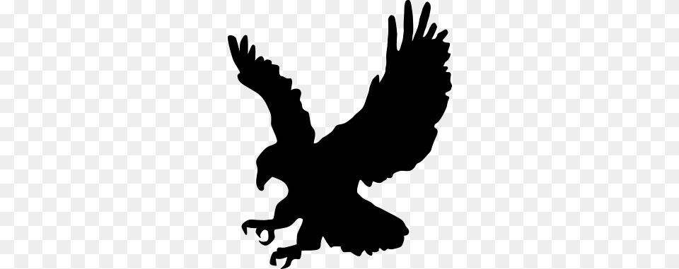 Eagle, Gray Png