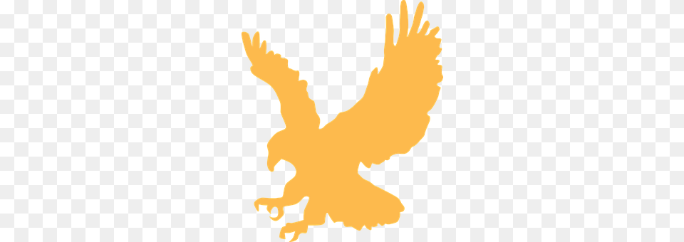 Eagle Person, Animal, Bird Free Png Download