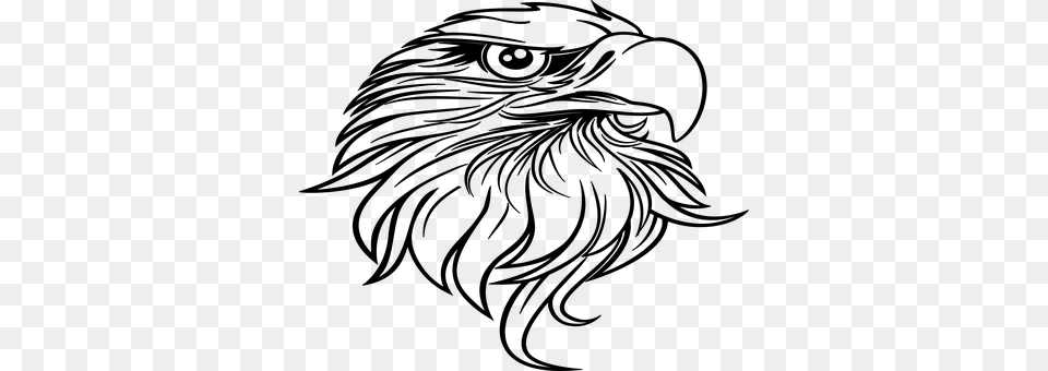 Eagle Gray Png