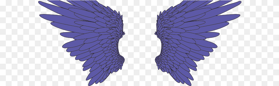 Eagle, Animal, Bird Png Image