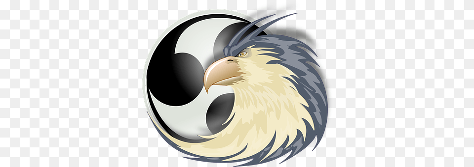 Eagle Animal, Beak, Bird Png