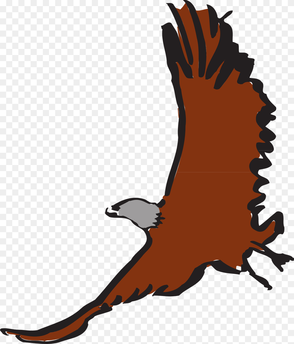 Eagle, Animal, Bird, Vulture, Kite Bird Png