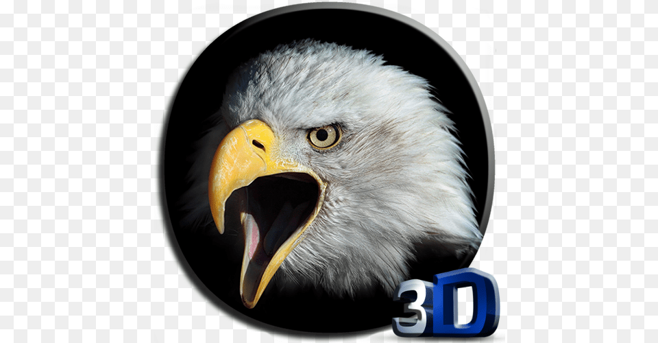 Eagle 3d Video Live Wallpaper Apps On Google Play License Plate Eagle Flag, Animal, Beak, Bird, Bald Eagle Png