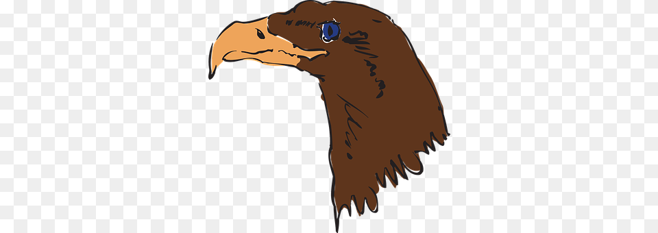 Eagle Animal, Beak, Bird, Person Free Png