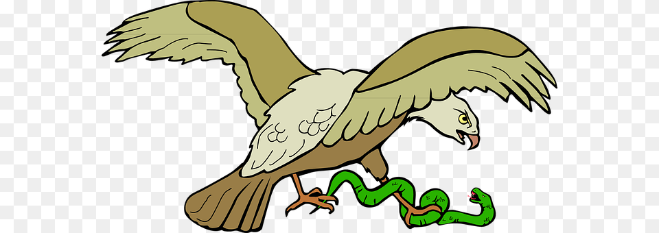 Eagle Animal, Kangaroo, Mammal Free Png